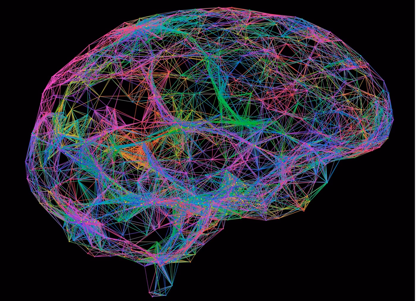 What is a cortical in neuroscience?