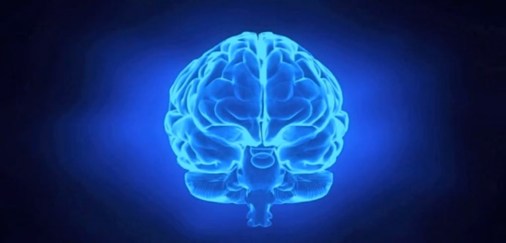 ¿Qué es la psicología de la seguridad?