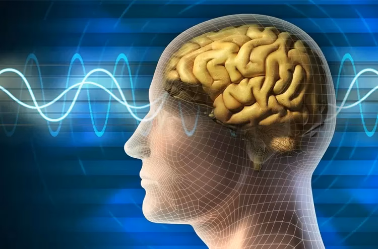 ¿Qué es la neurociencia de la seguridad?