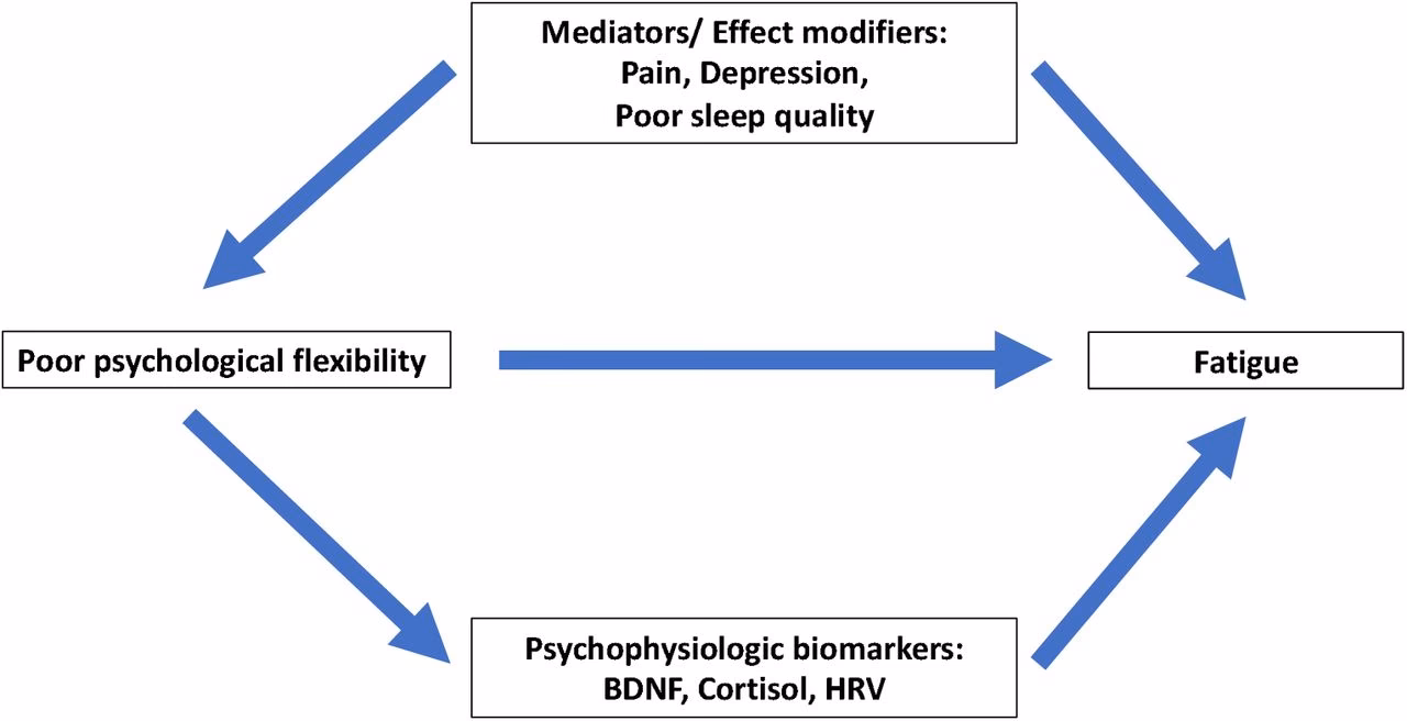 Is neuroscience and biobehavioral reviews peer-reviewed?