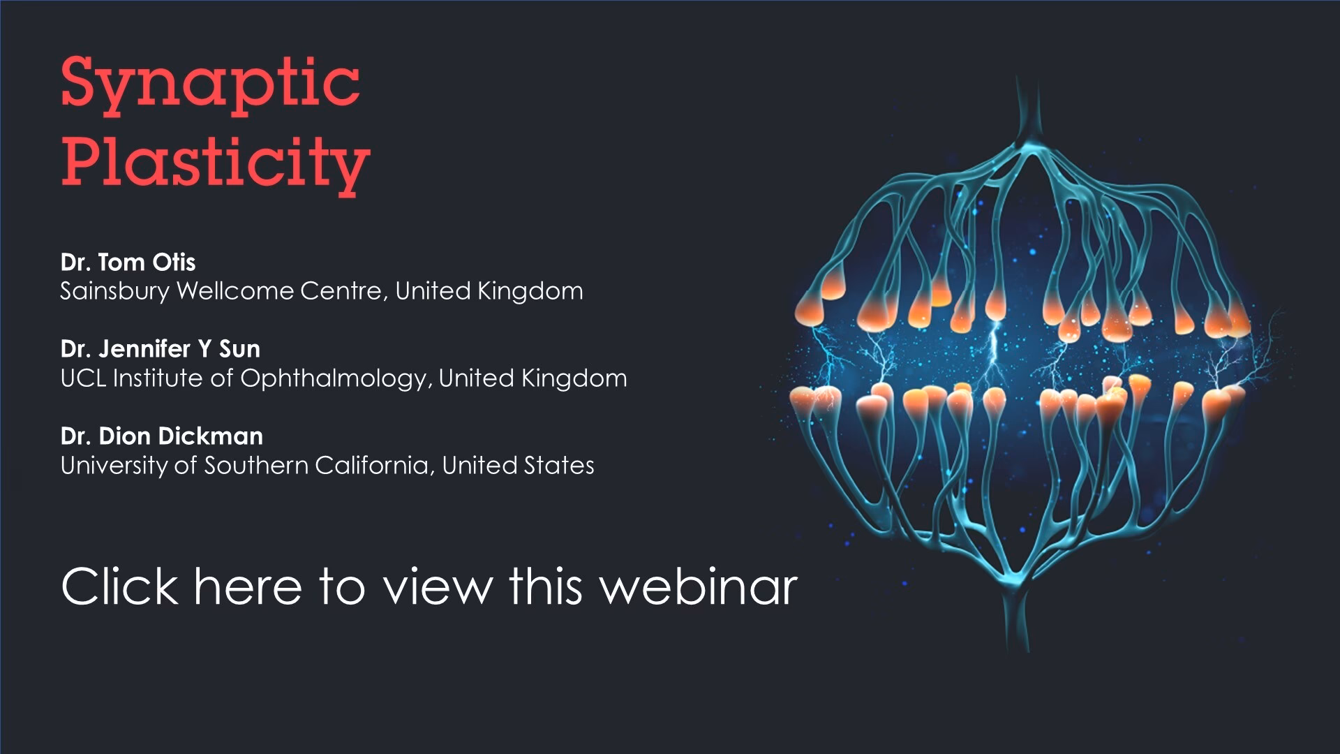 What is the cost of Abcam antibody?