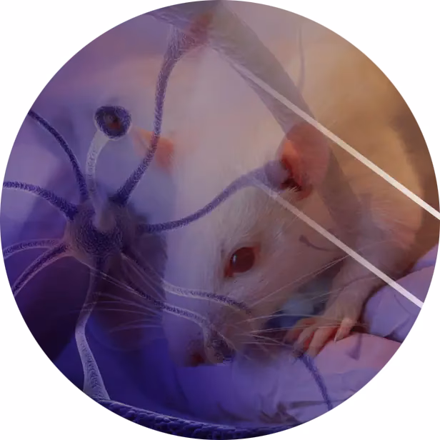 What is the difference between IHC and RNAscope?