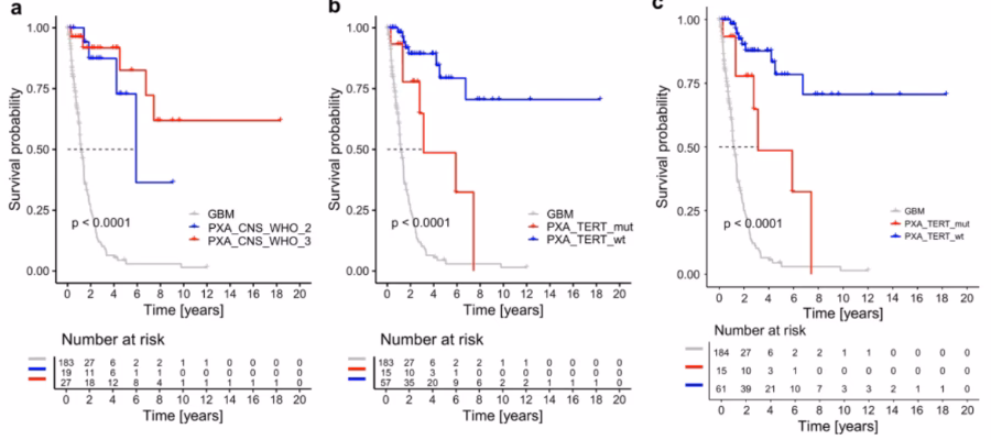 Is Acta neuropathologica open access?