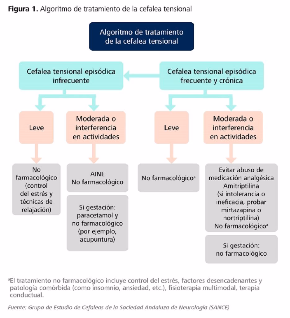 ¿Qué parte del cerebro afecta la cefalea?
