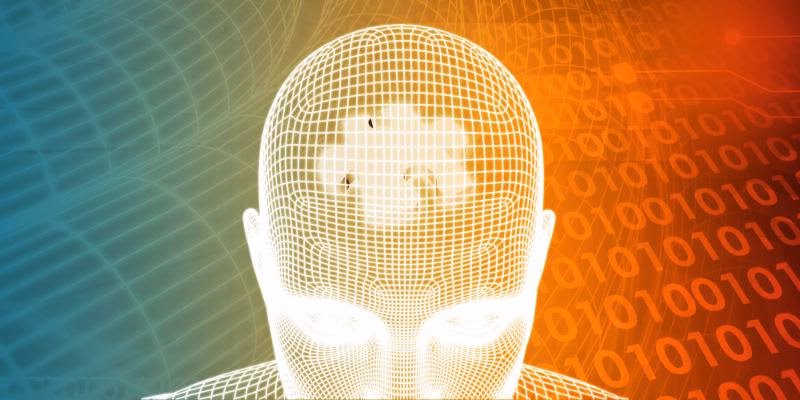 What major is Adelphi University known for?