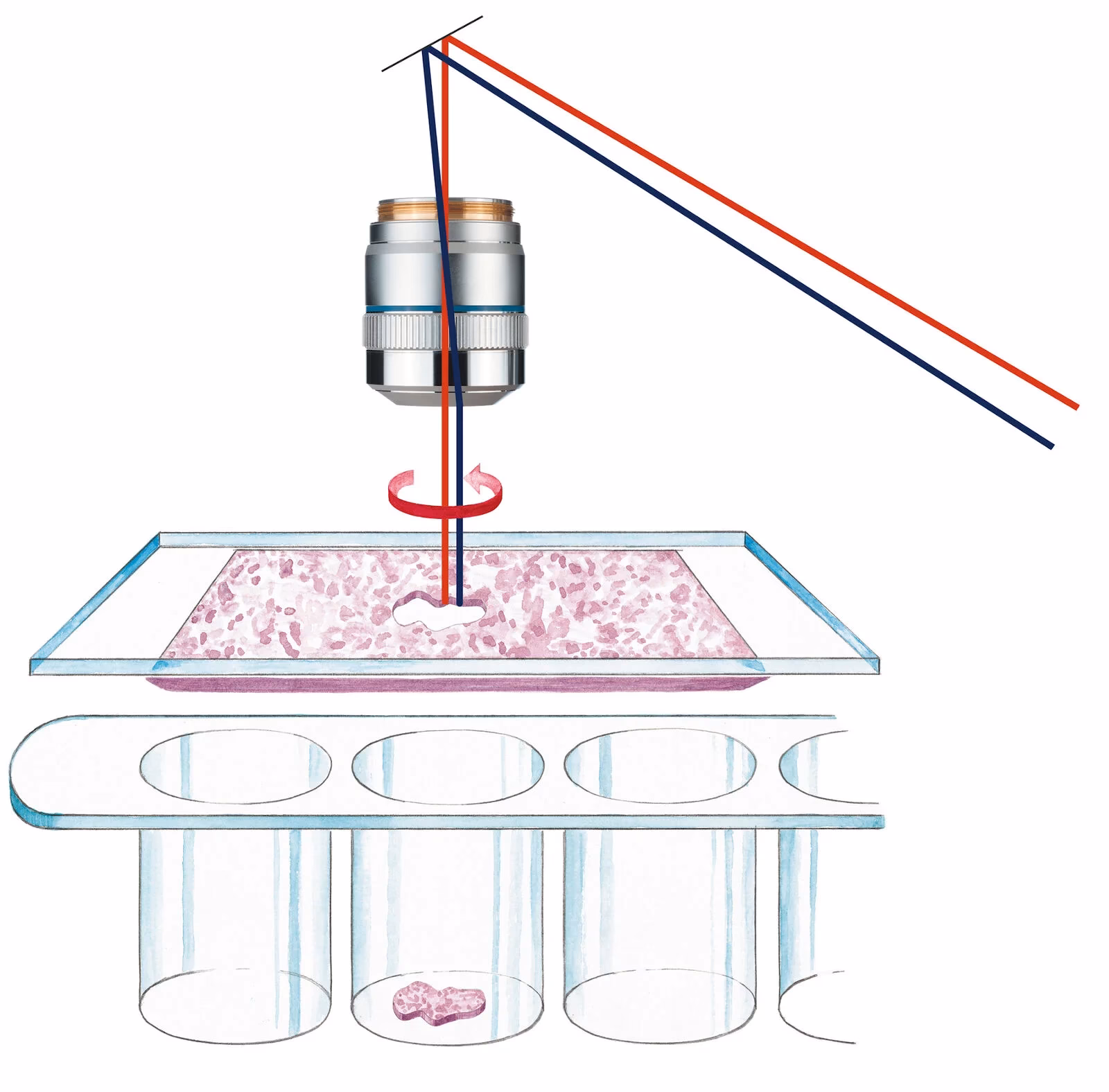 How does laser capture microdissection work?