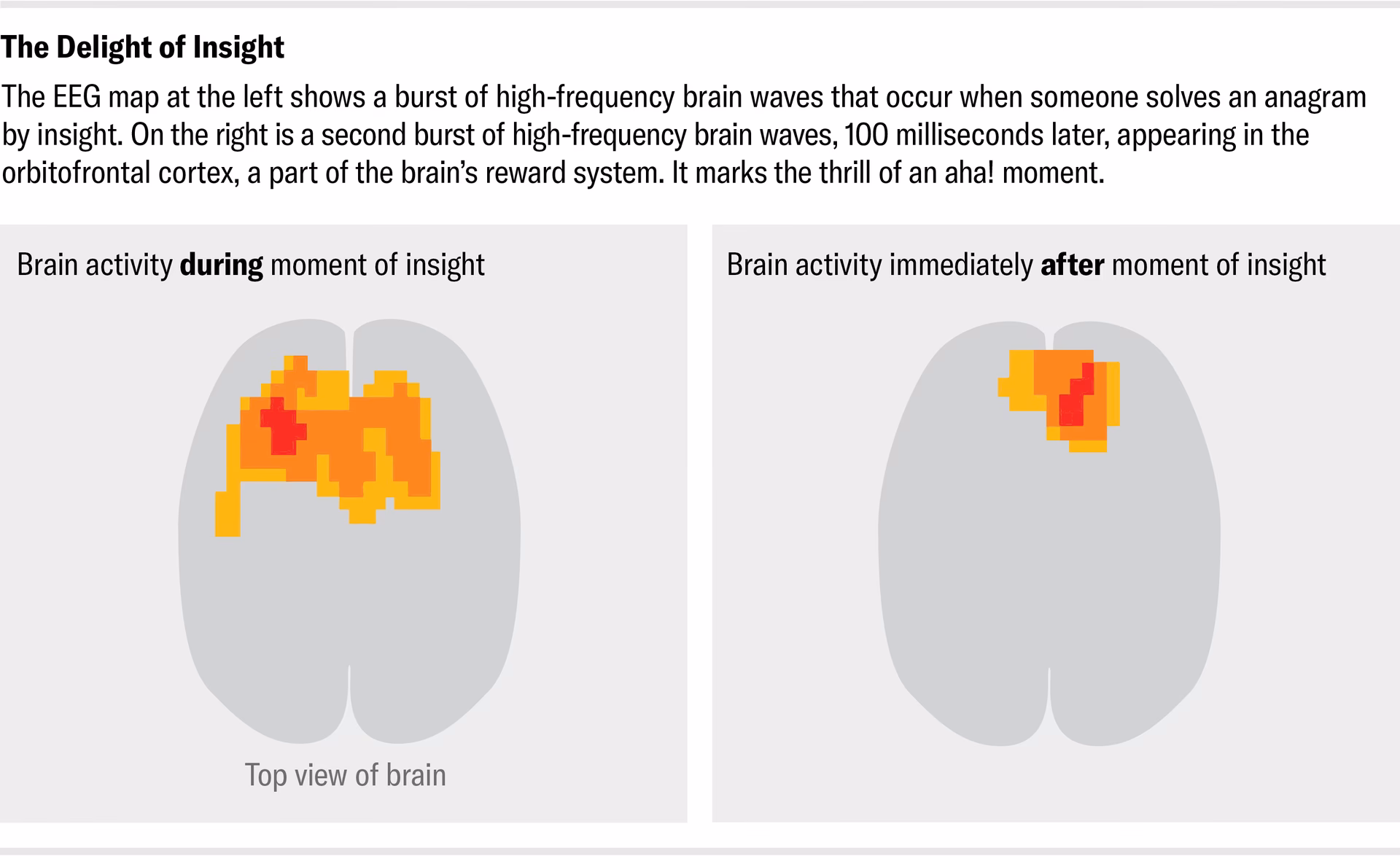 What part of the brain is activated during the aha moment?