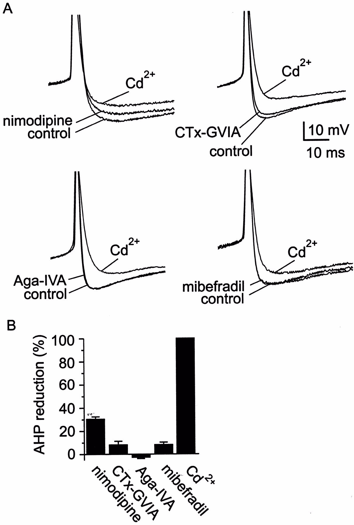 What is AHP in the brain?