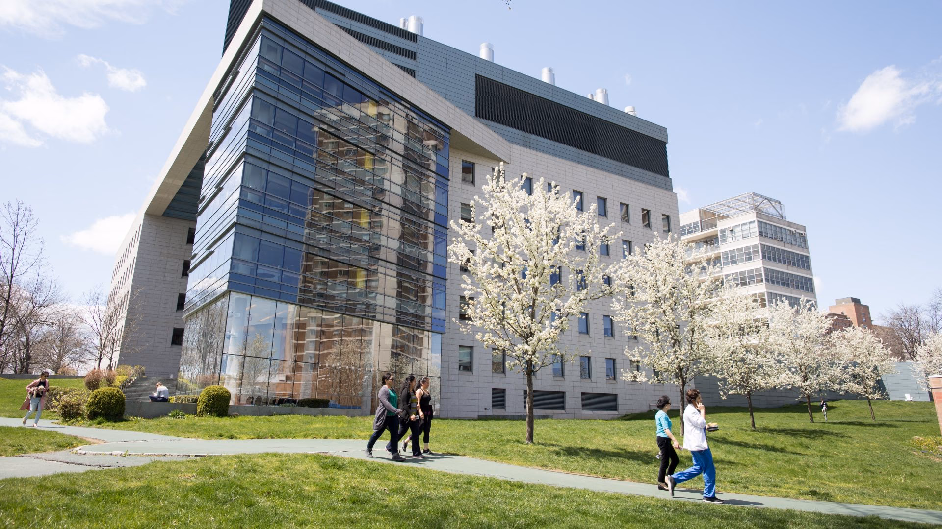 What was Albert Einstein's brain anatomy?