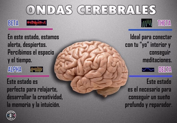 ¿Cuál es la mejor frecuencia para el cerebro?