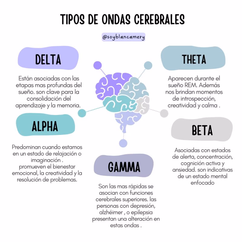 ¿Qué significa el nivel beta de la mente?