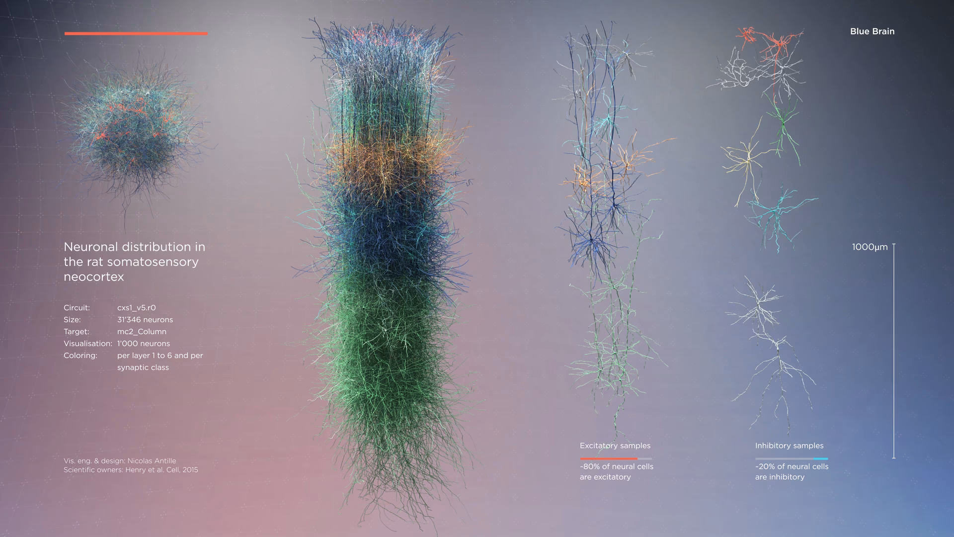 What are the real life applications of algebraic topology?