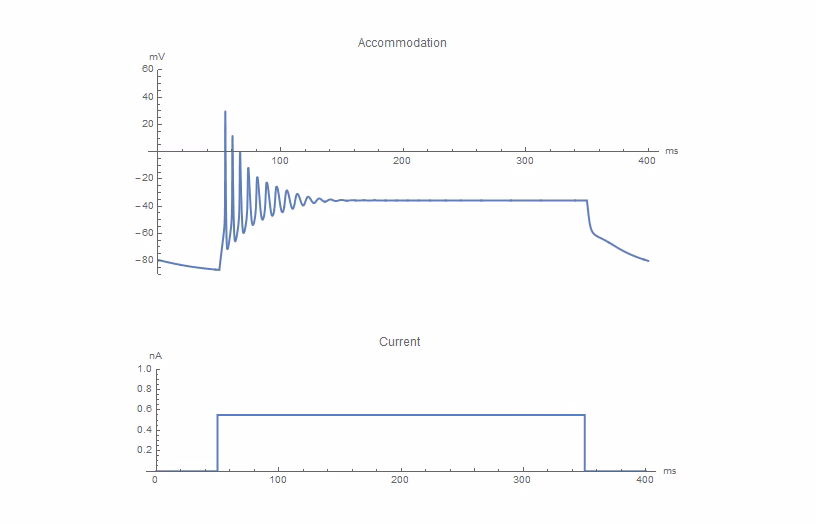 What is meant by all or none phenomenon?