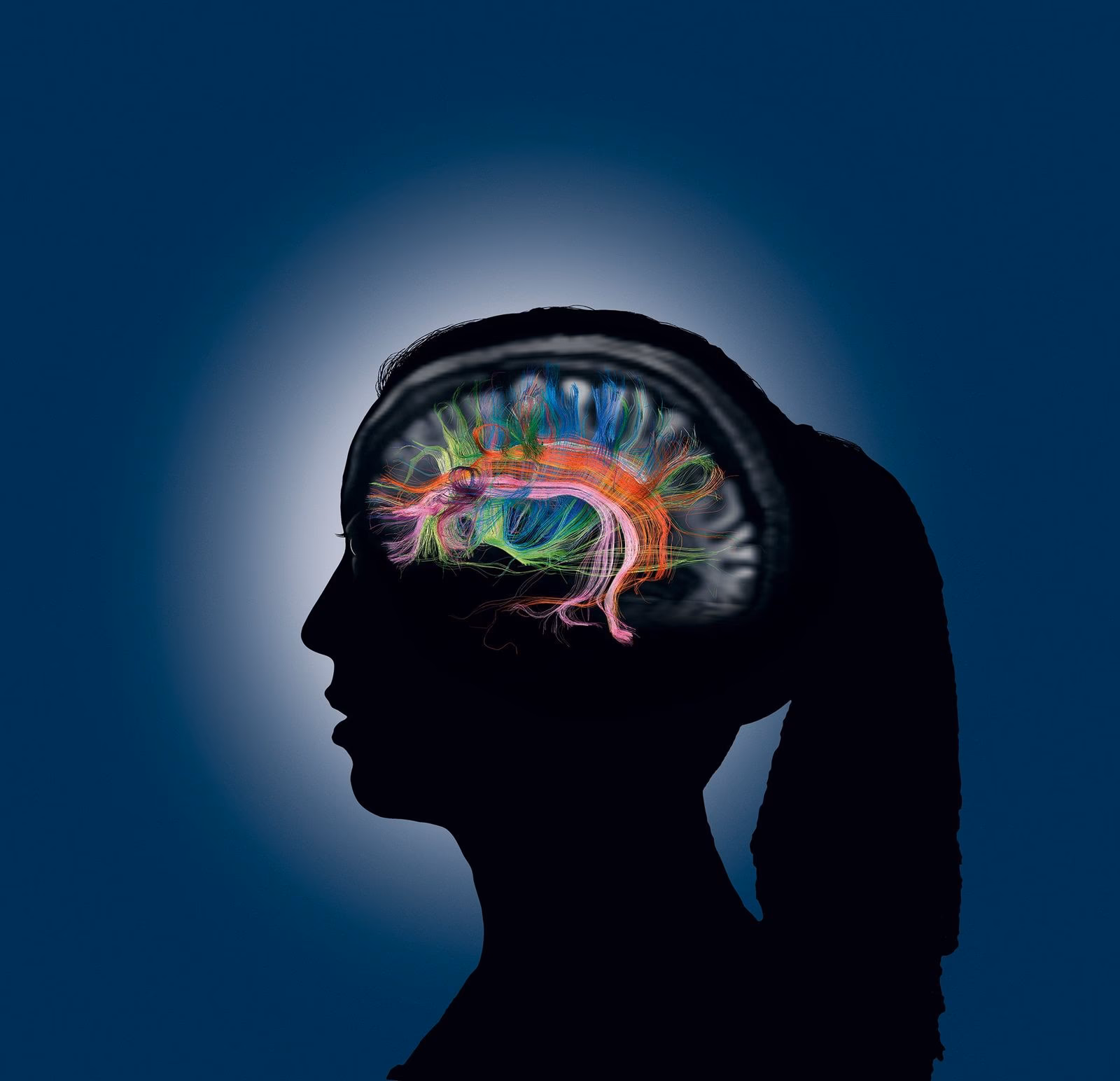 ¿Cómo funciona el almacenamiento del cerebro?