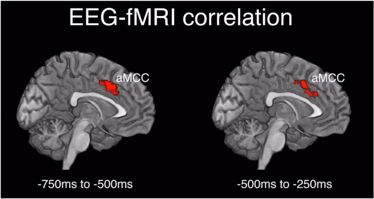 How to increase aMCC in brain?