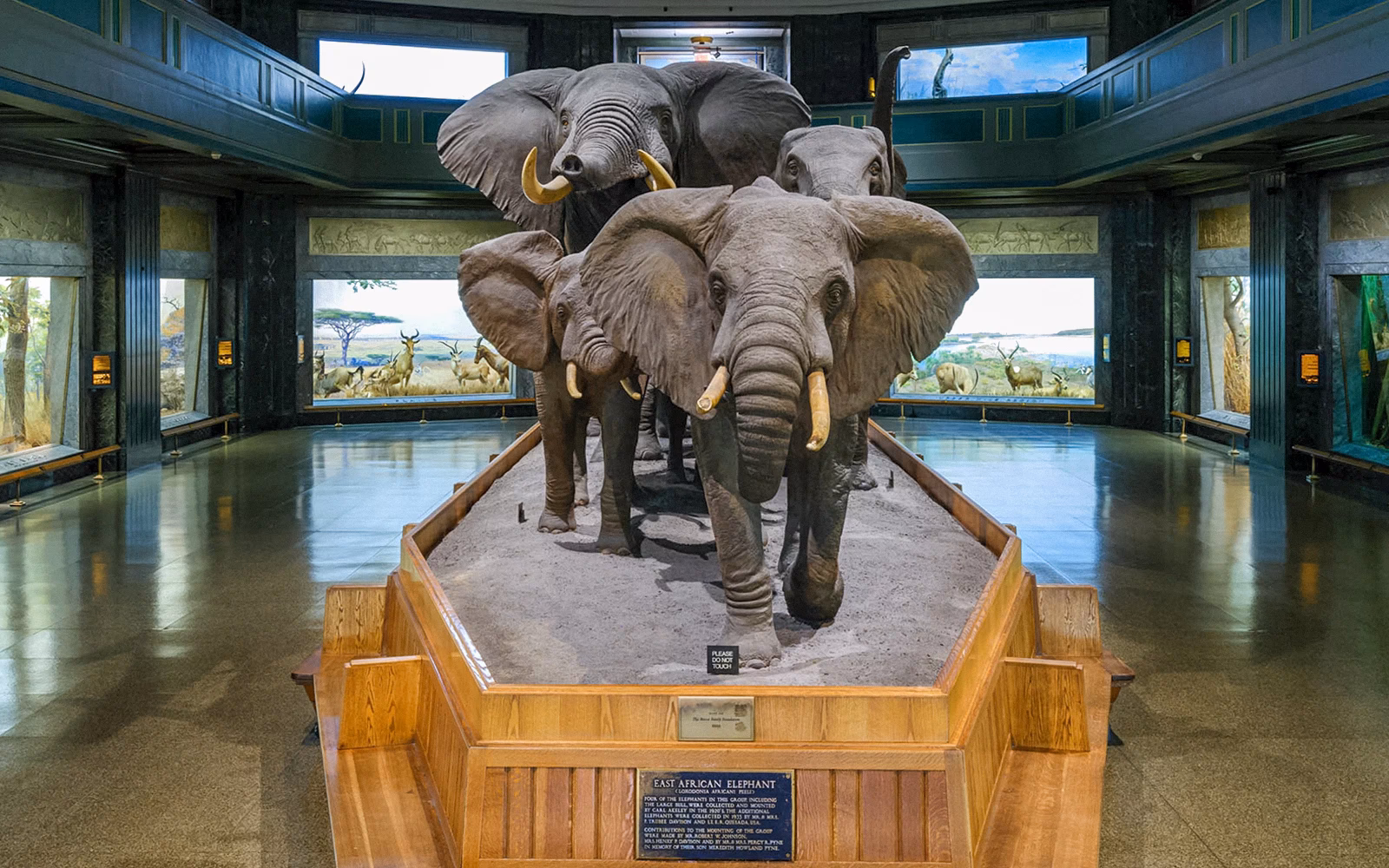 What is the best day to go to the Museum of Natural History in NYC?