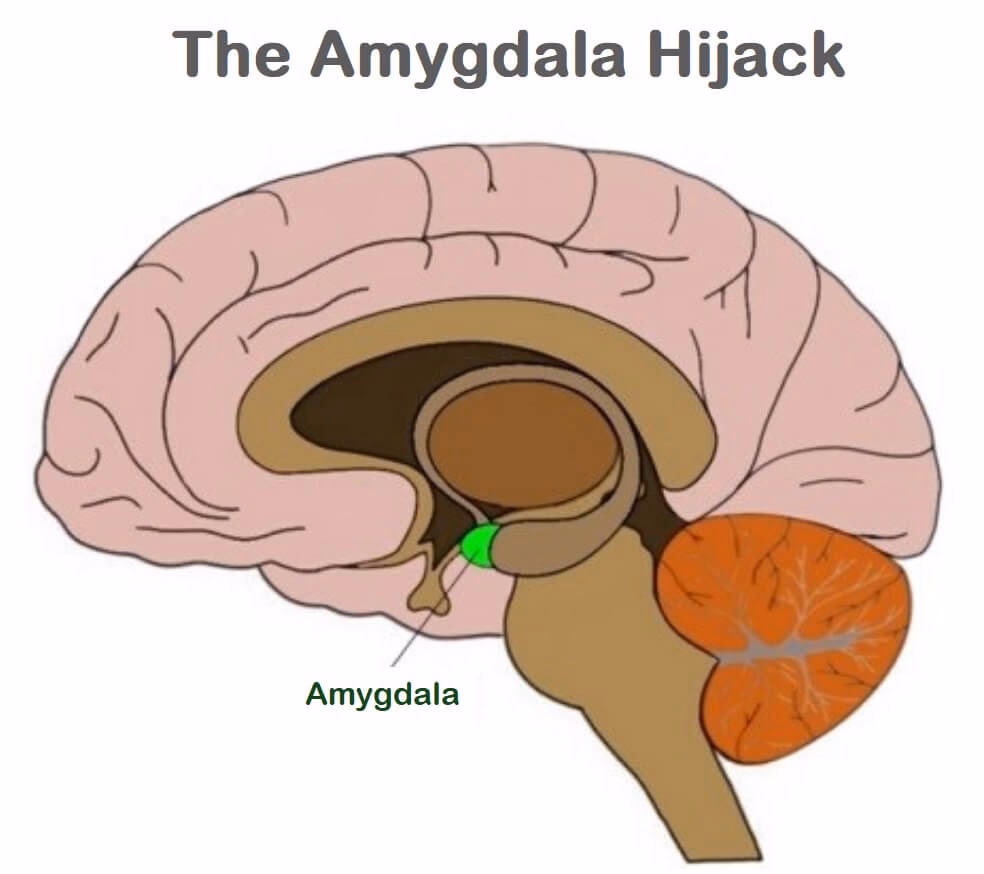 What is the 6 second rule for amygdala hijacking?