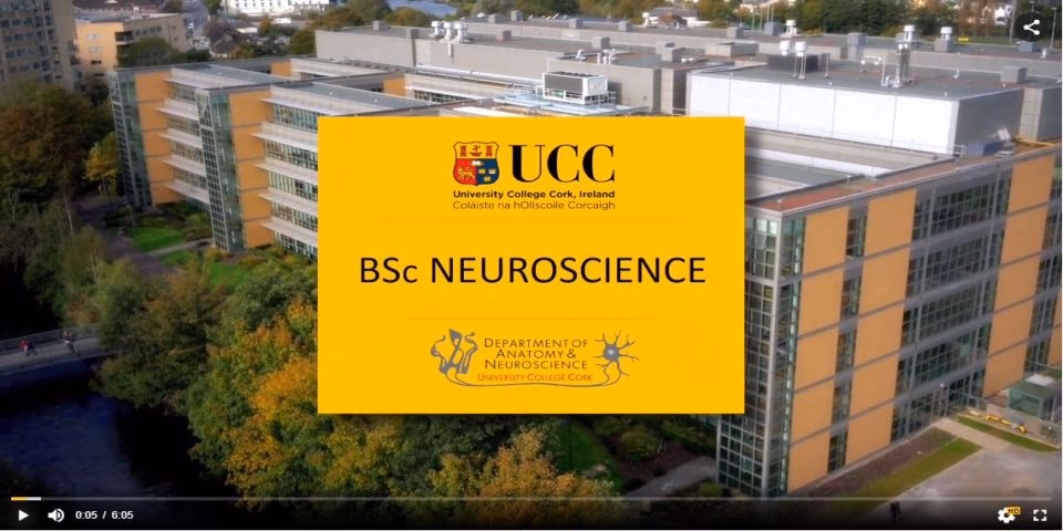 What is the neuroscience course at Cork?