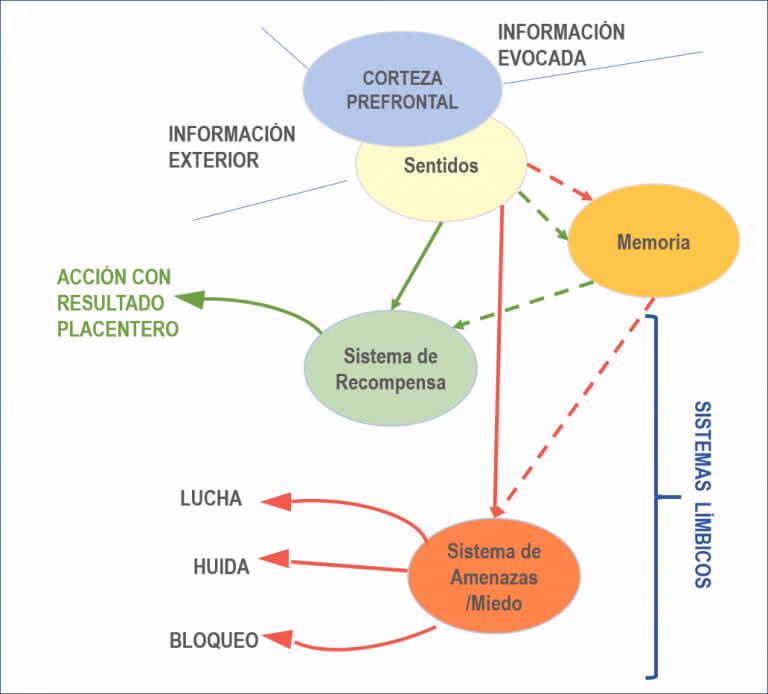 ¿Cuál es el método de anclaje?