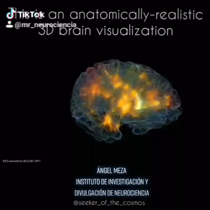 ¿Quién es Ángel Meza?