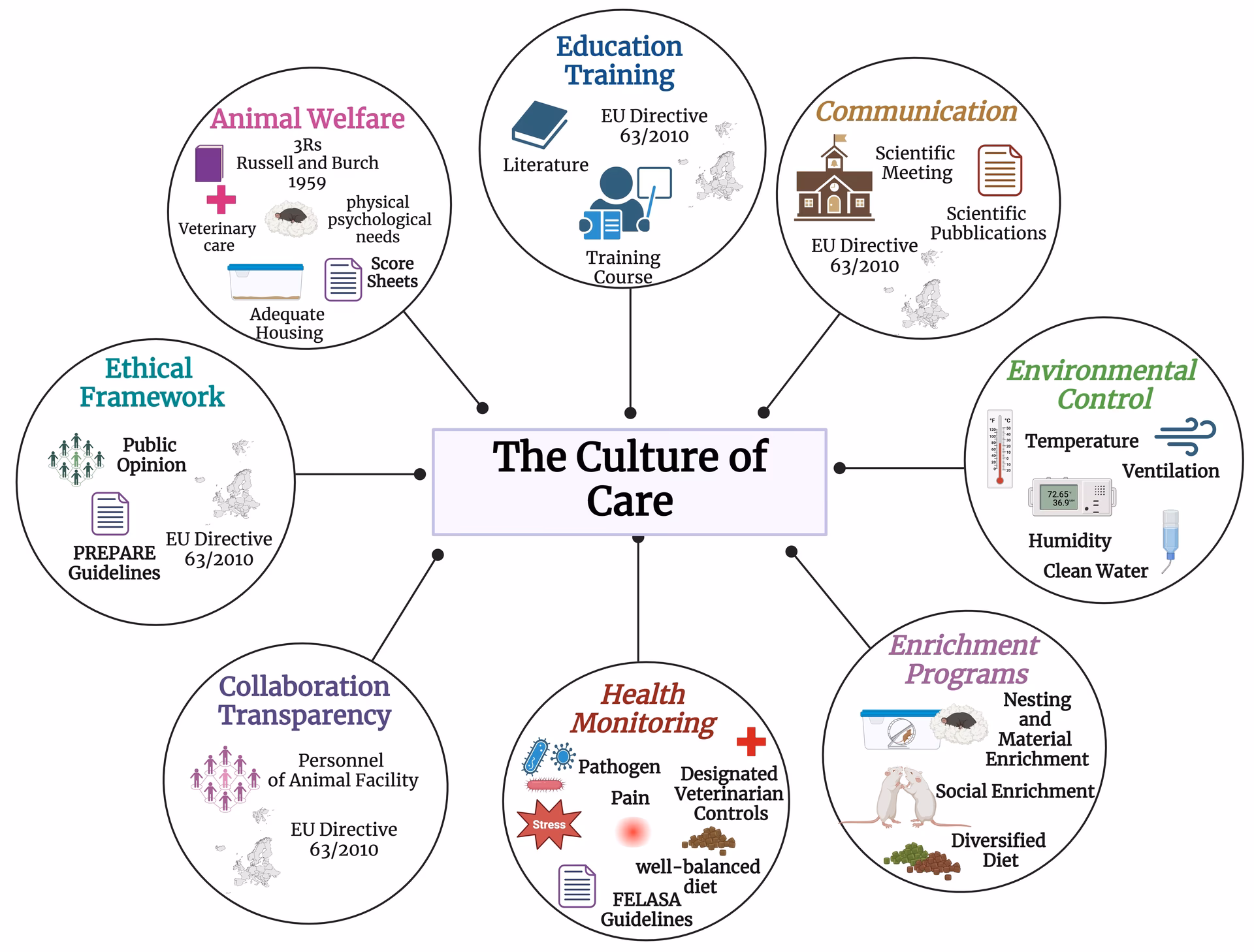 What are model organisms in neuroscience?