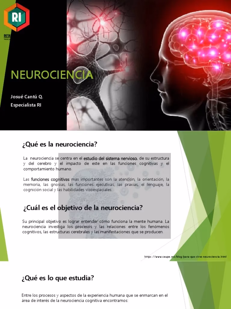 ¿Cuál es la historia de la neurociencia afectiva?