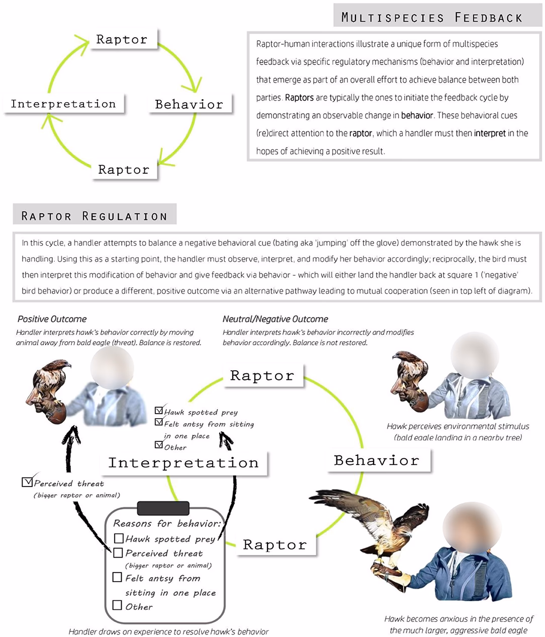 What minors go well with anthropology major?
