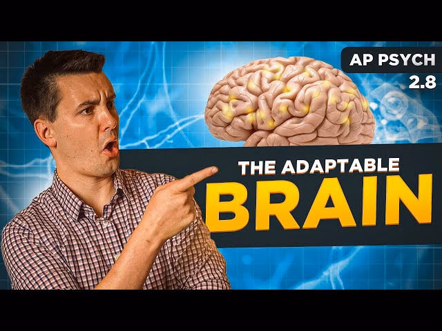 What AP psych unit is drugs?