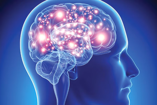 Apa yang dimaksud dengan ilmu neurosains?