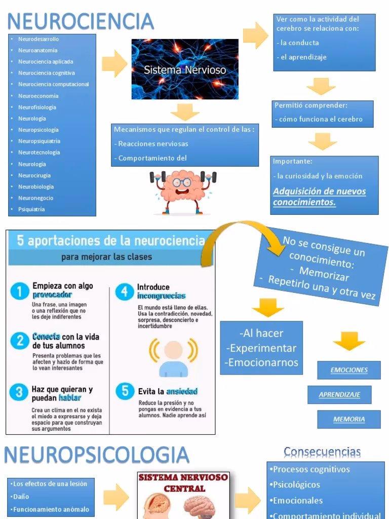¿Cuál es la importancia de la evaluación neuropsicológica?