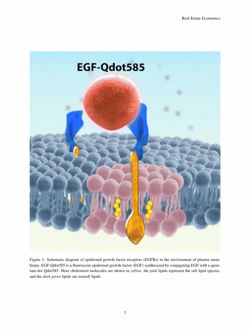 What is an Ann in neuroscience?