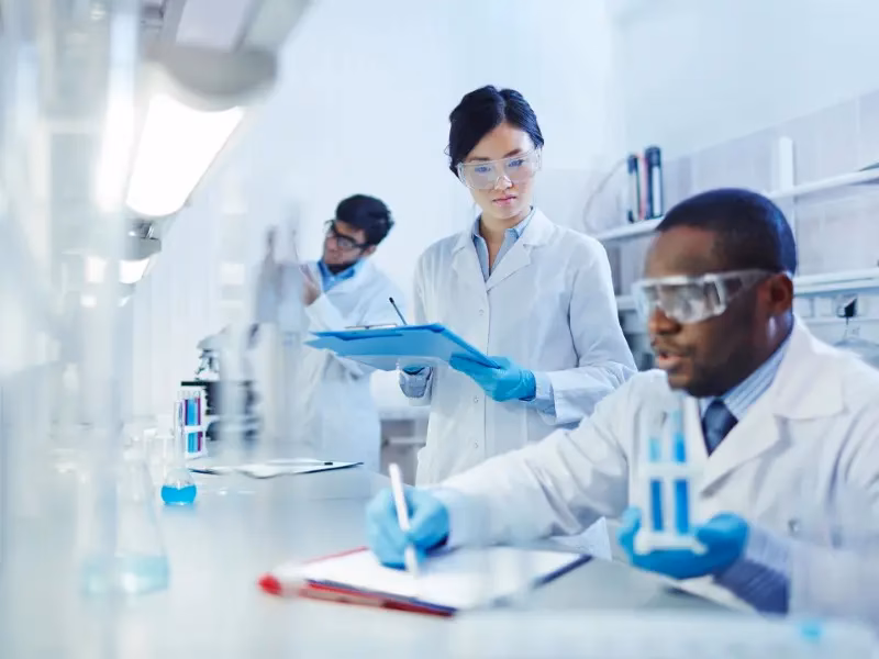 What are the top 3 majors at the University of Arizona?