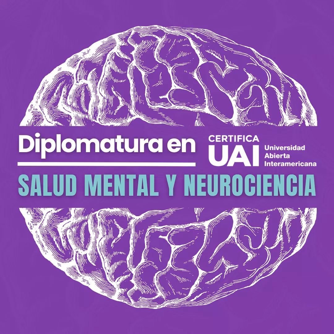 ¿Cuántos años se necesitan para estudiar neurociencia?