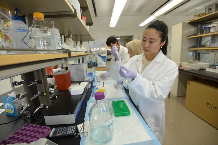 Does ASU have a neuroscience major?