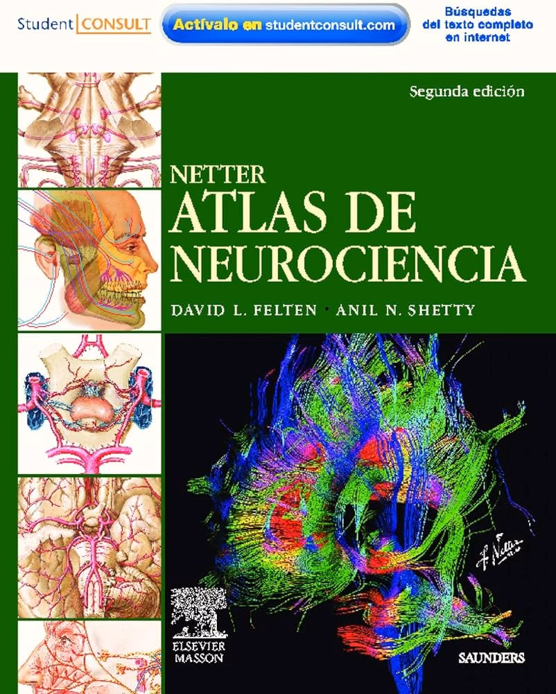 ¿Qué es un atlas del cerebro?