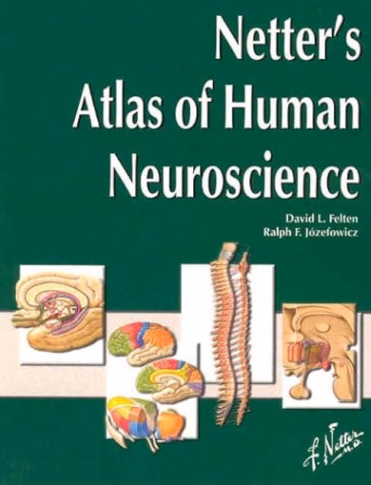 What is the price of Atlas of Human Anatomy 7th edition?
