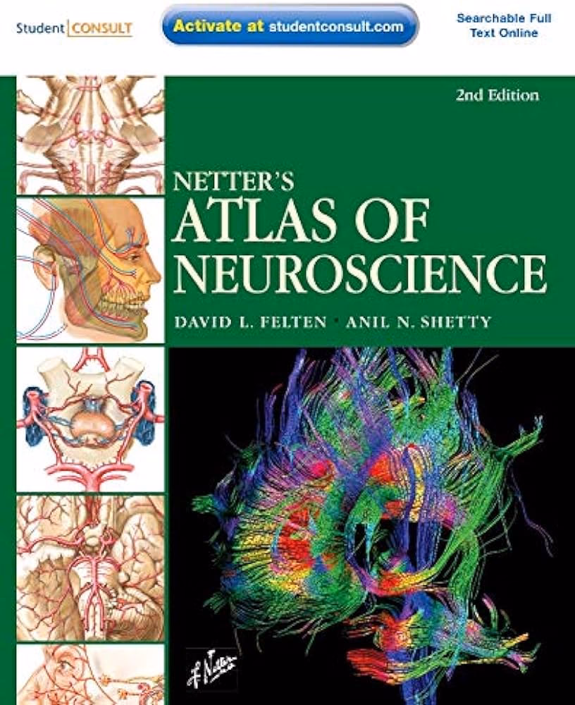 What is the latest edition of Atlas of anatomy?
