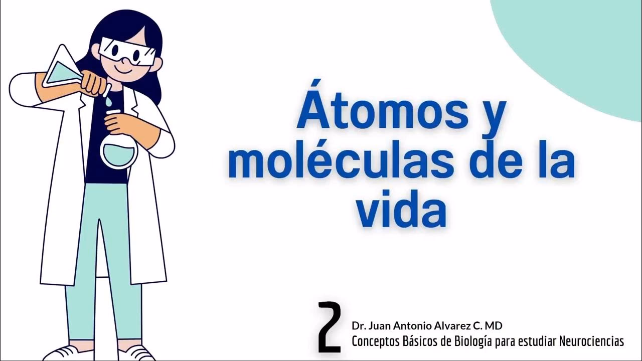 ¿Cómo se piensa que es un átomo?