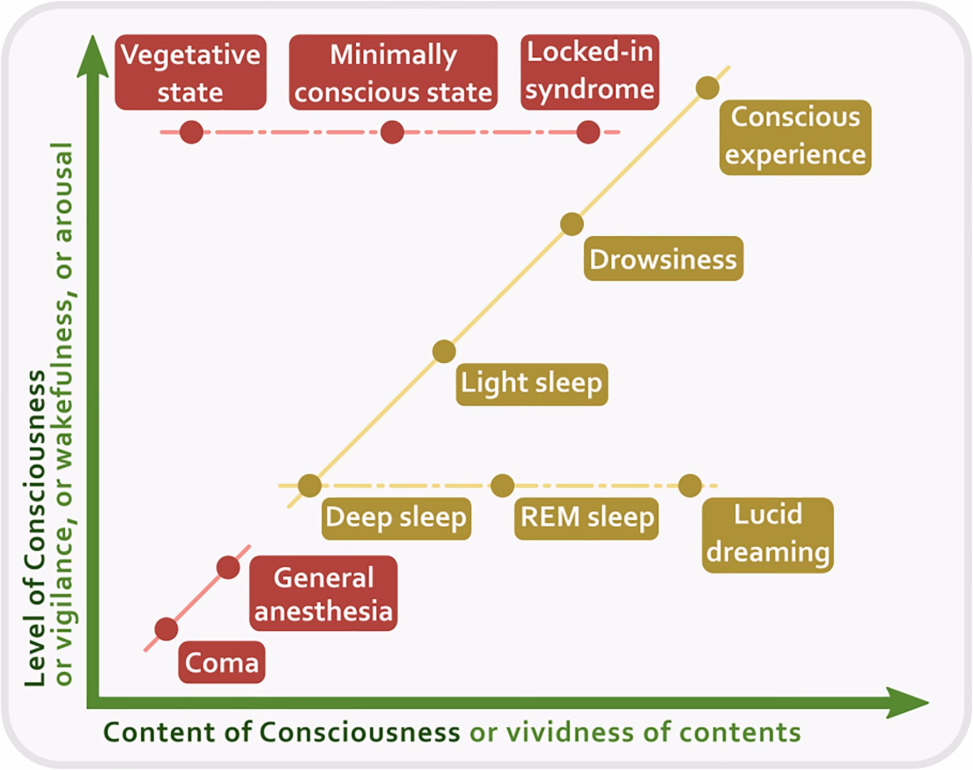What is the attention theory of consciousness?