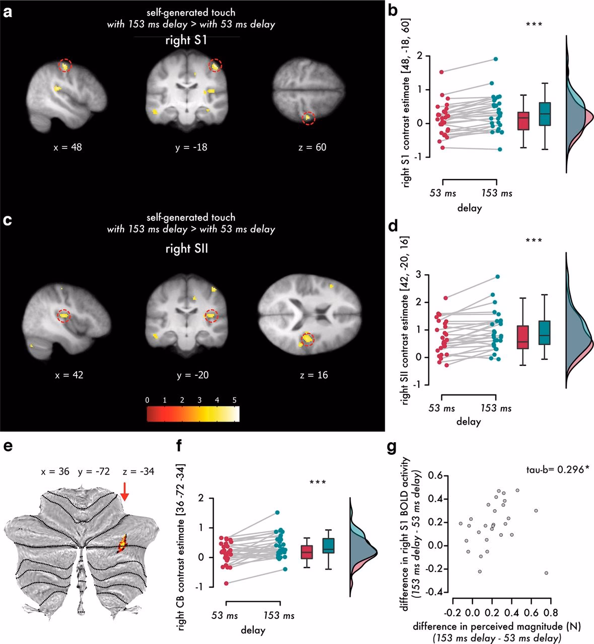What is attenuation What are the causes of attenuation?