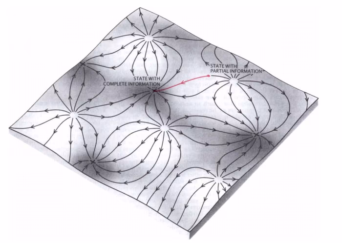 What are the 4 types of attractors?