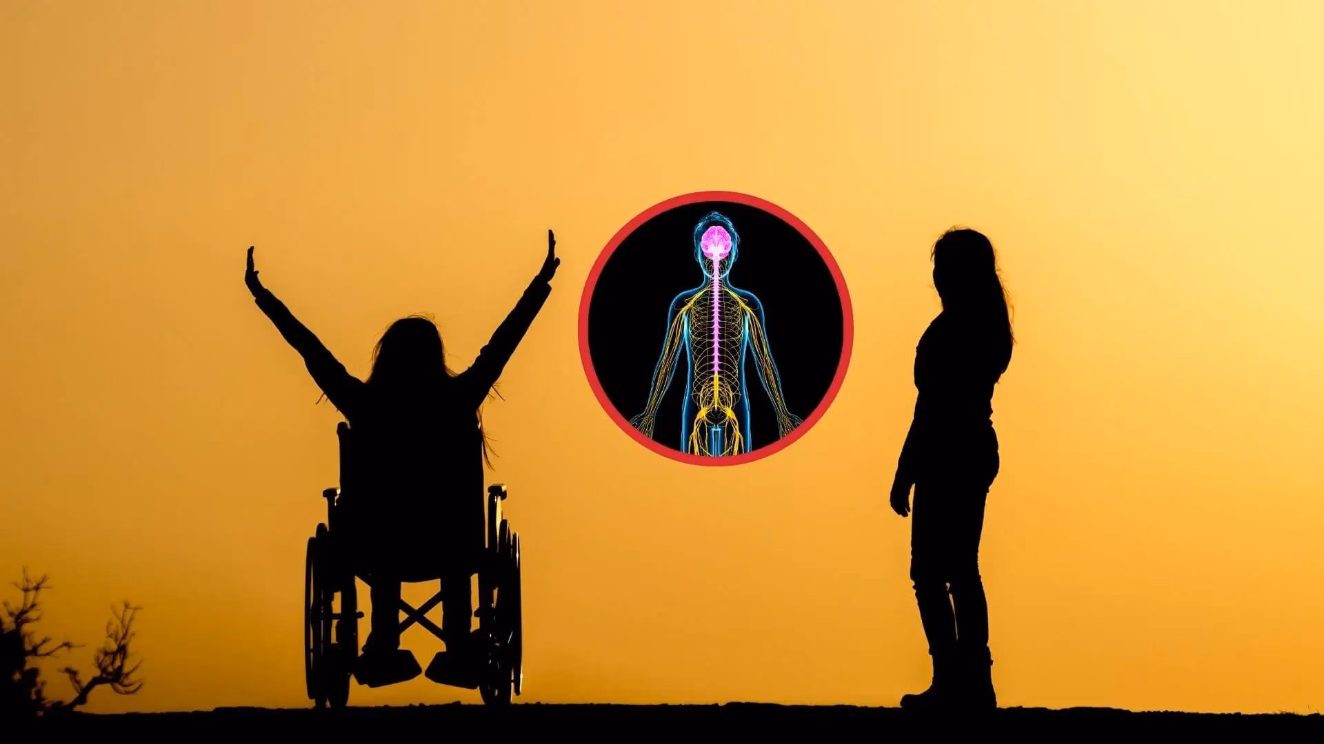 ¿Cuál es la nueva tecnología para la lesión de la médula espinal?