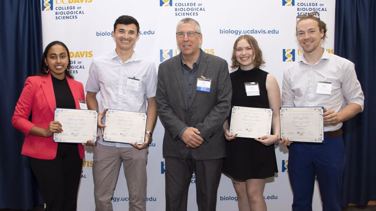 What is the Dean's Award for?