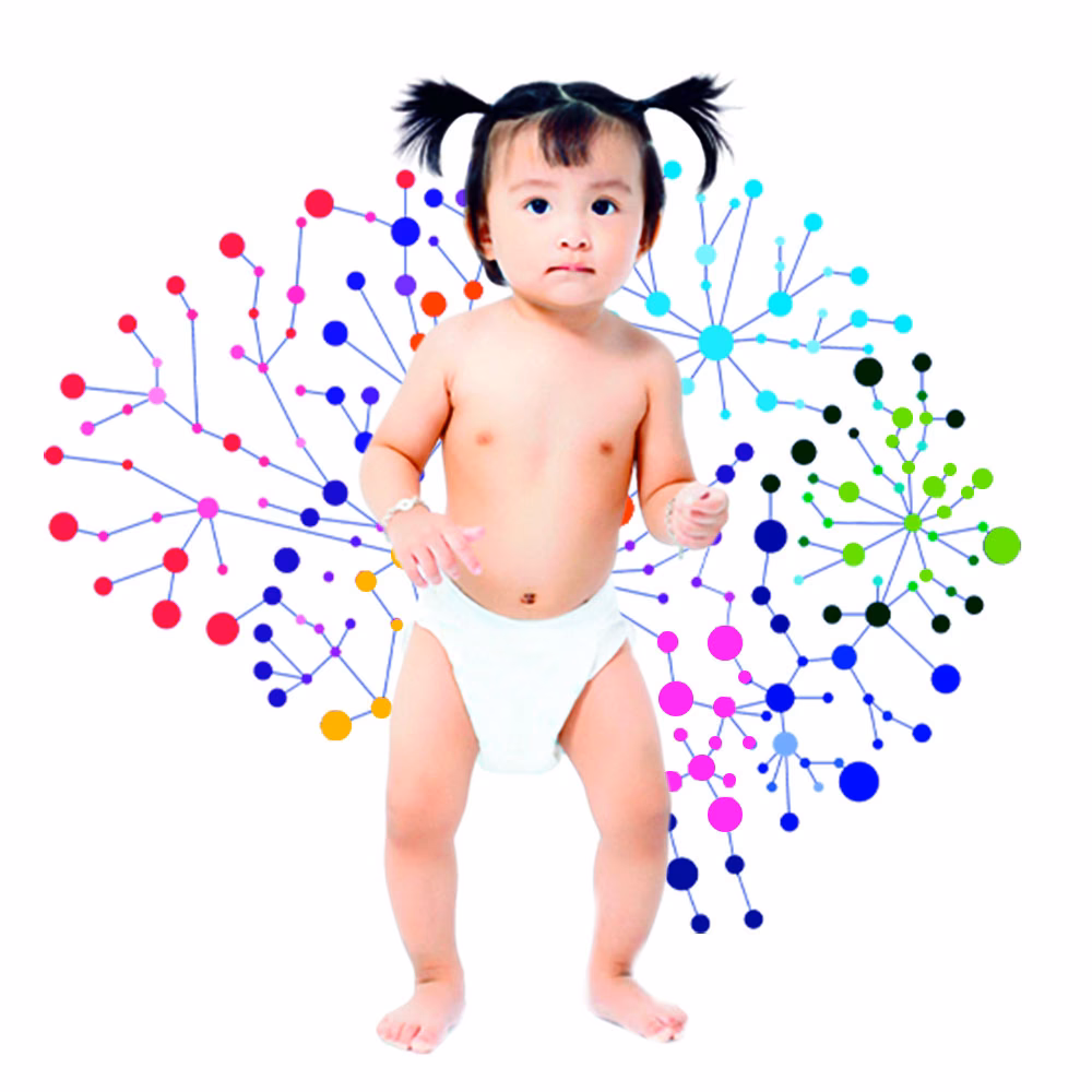 What is the baby brain theory?