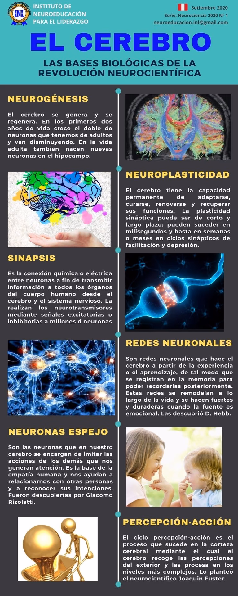 ¿Qué son las bases biológicas?
