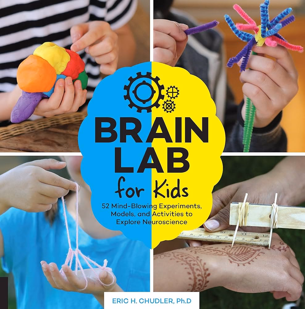 How to teach kids about neurons?