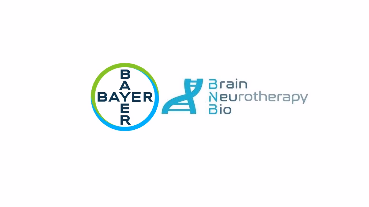 What are Bayer key therapeutic areas?