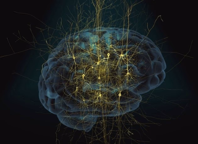 What is NGF in neuroscience?