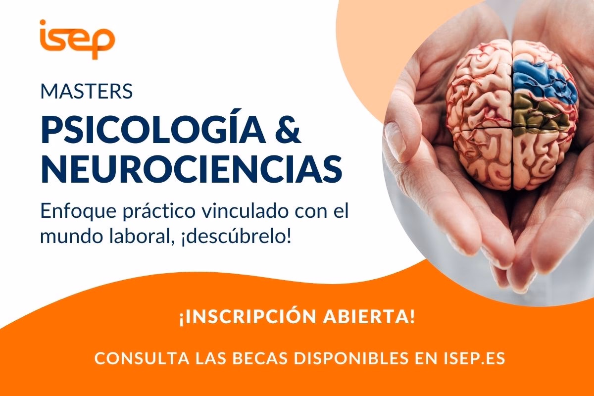 ¿Cuáles son las mejores becas para estudiar psicología en el exterior?