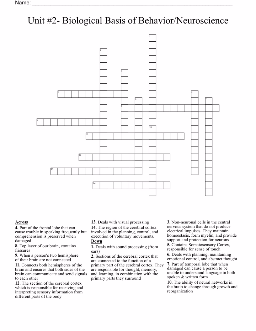 Do crossword puzzles help the brain function?